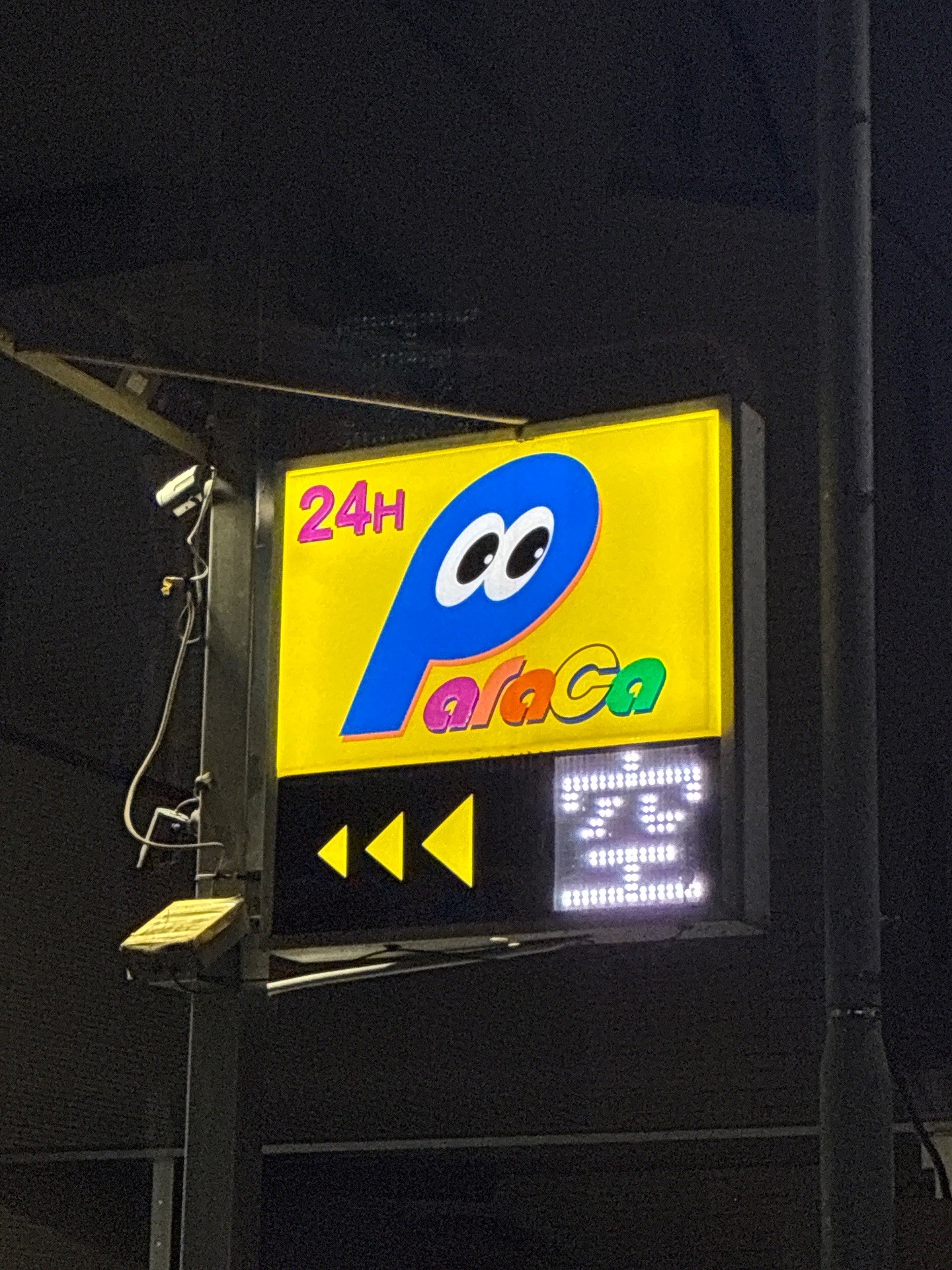 パカラ の写真 4
