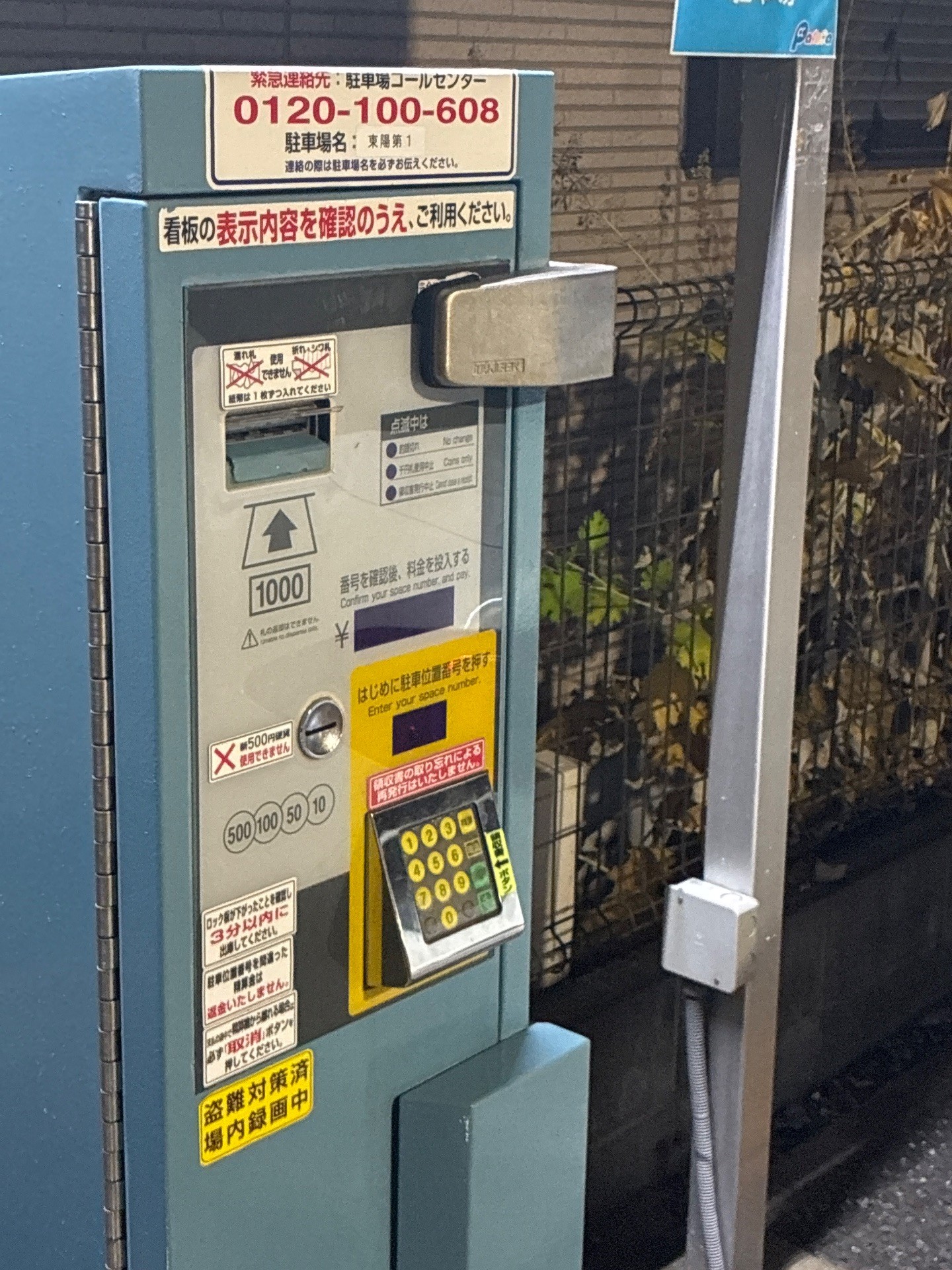 パカラ の写真 5