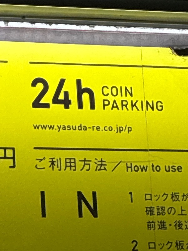ミスターP の写真 4