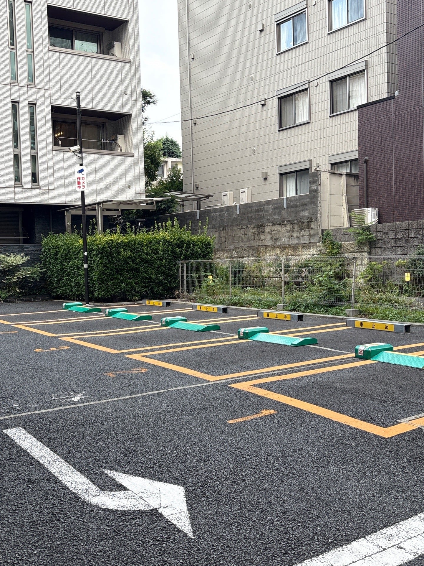 リパーク小石川5丁目第4 の写真 2