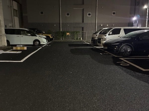 タイムズ新富1丁目 の写真 2