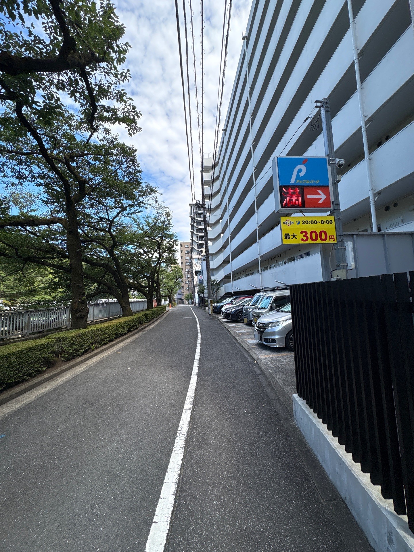 アップルパーク関口1丁目第1 の写真 1