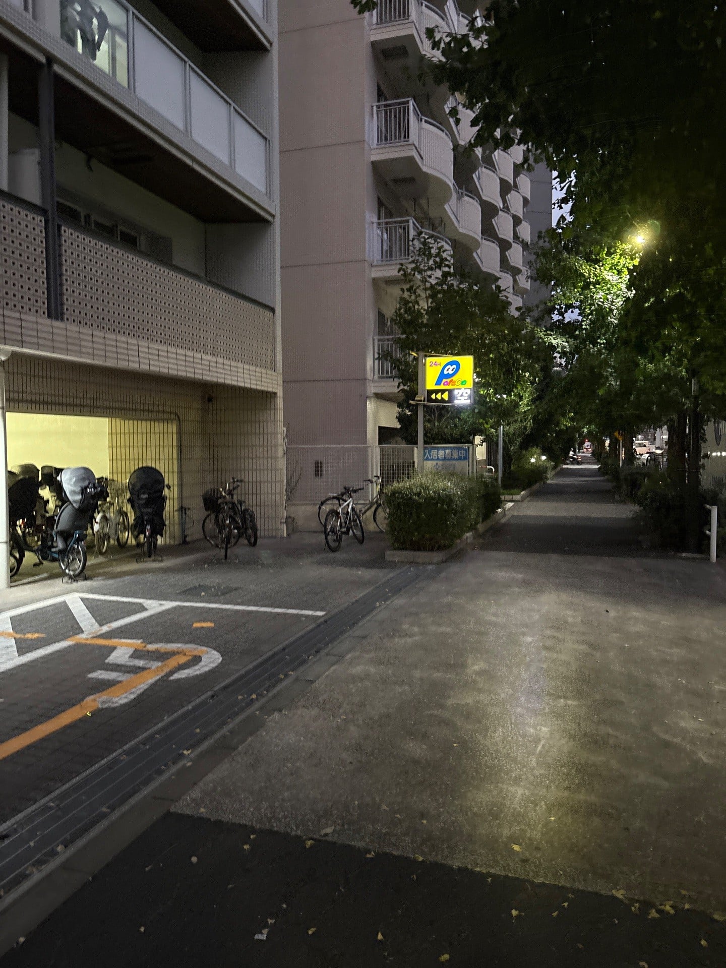 パラカ港区海岸第1 の写真 1
