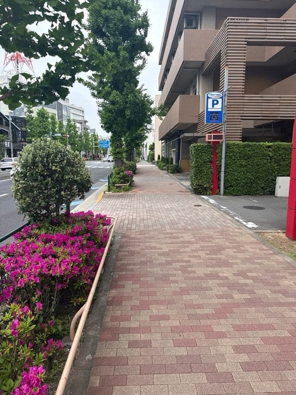 トラストパークライオンズシティ学芸大学 の写真 1