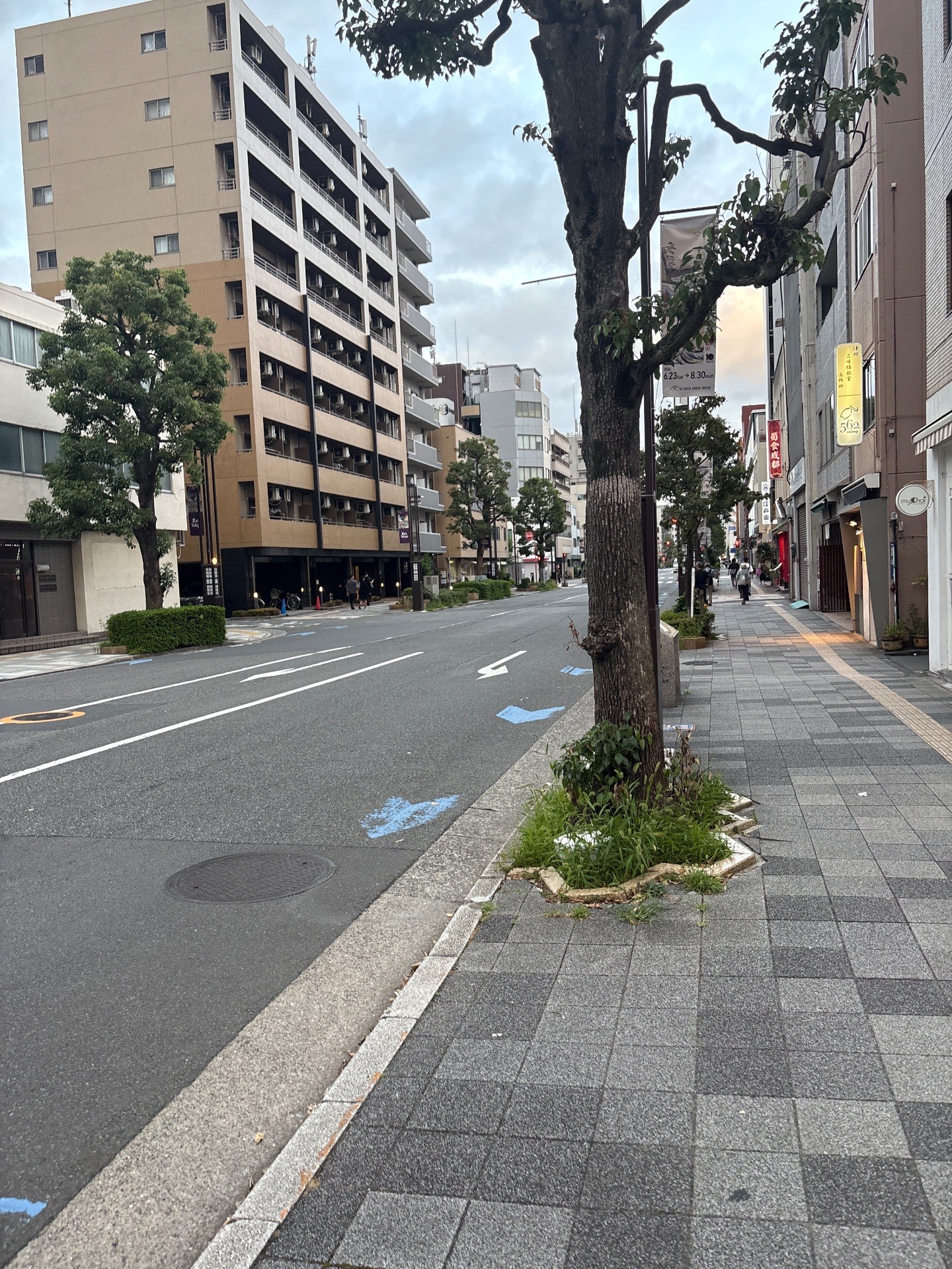 タイムズ亀沢第14 の写真 1
