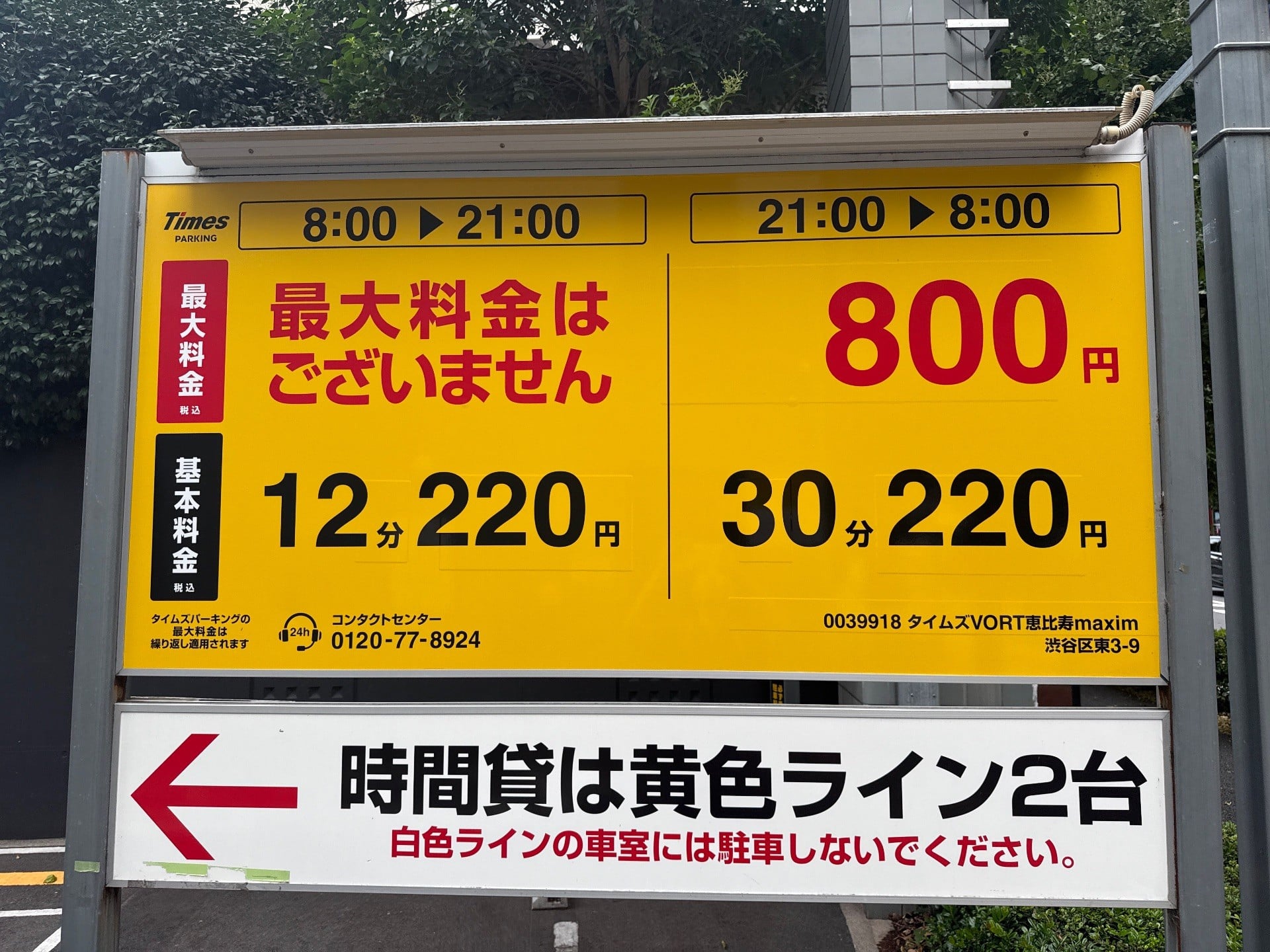 タイムズVORT恵比寿maxim の写真 3