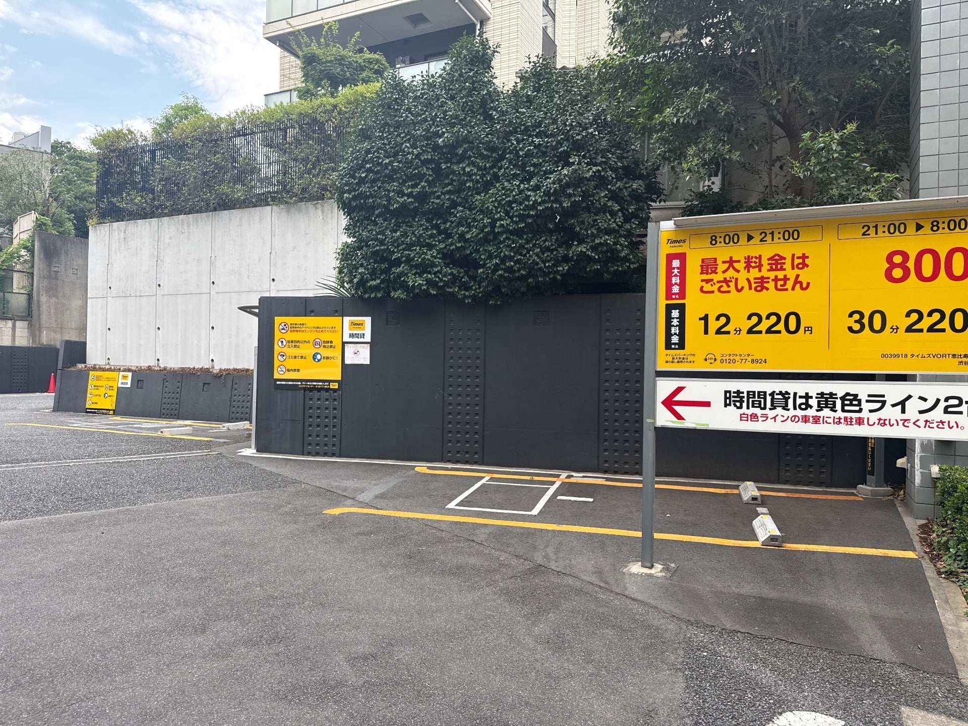 タイムズVORT恵比寿maxim の写真 2