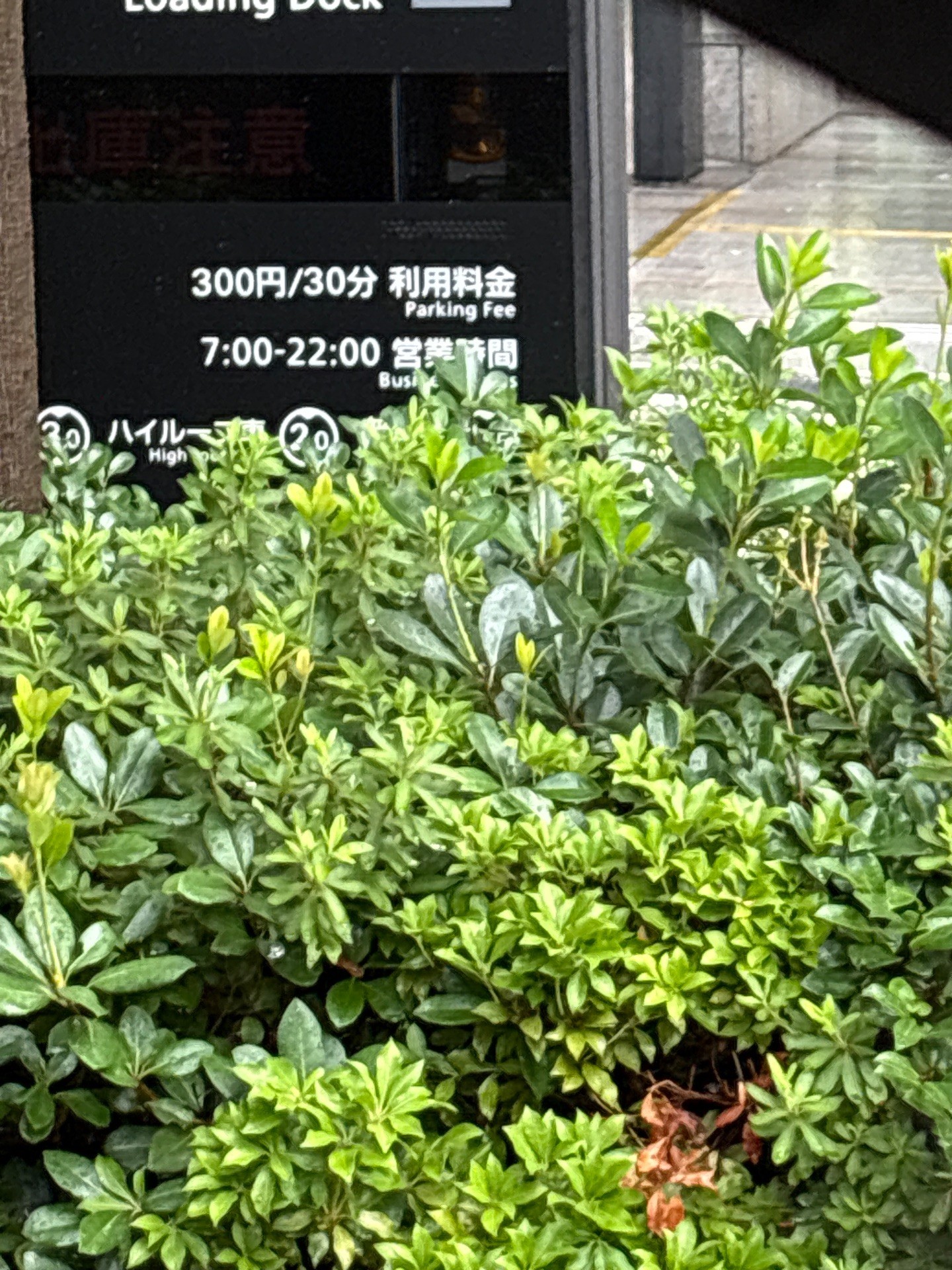大手町カンファレンスセンター 駐車場 の写真 2