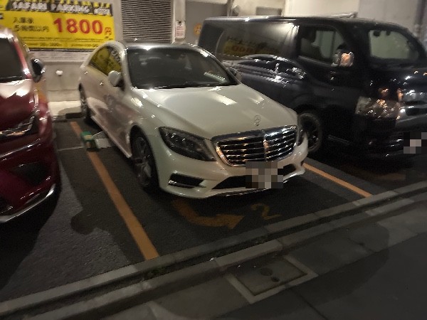 SAFARI PARKING ver2.0 の写真 3