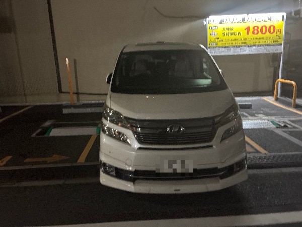 SAFARI PARKING ver2.0 の写真 2