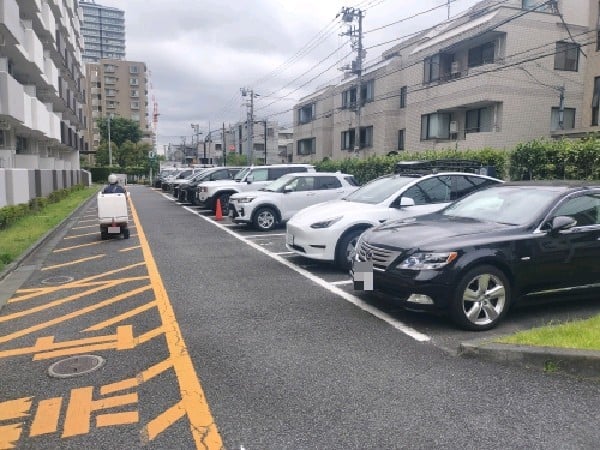 名称不明 の写真 2