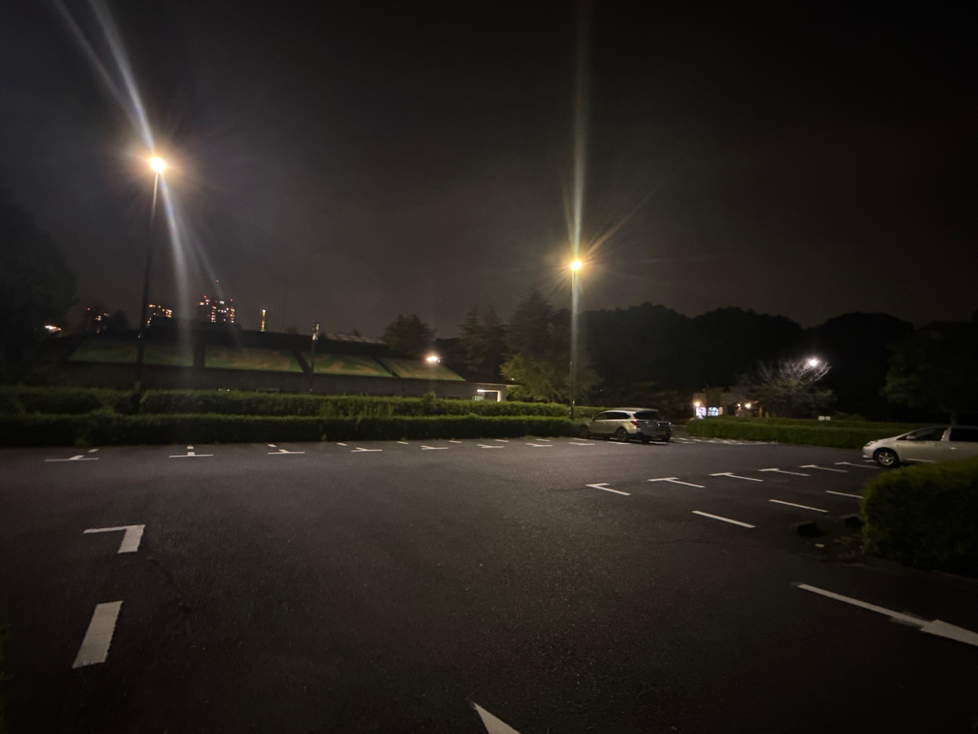 木場公園第二駐車場 の写真 2