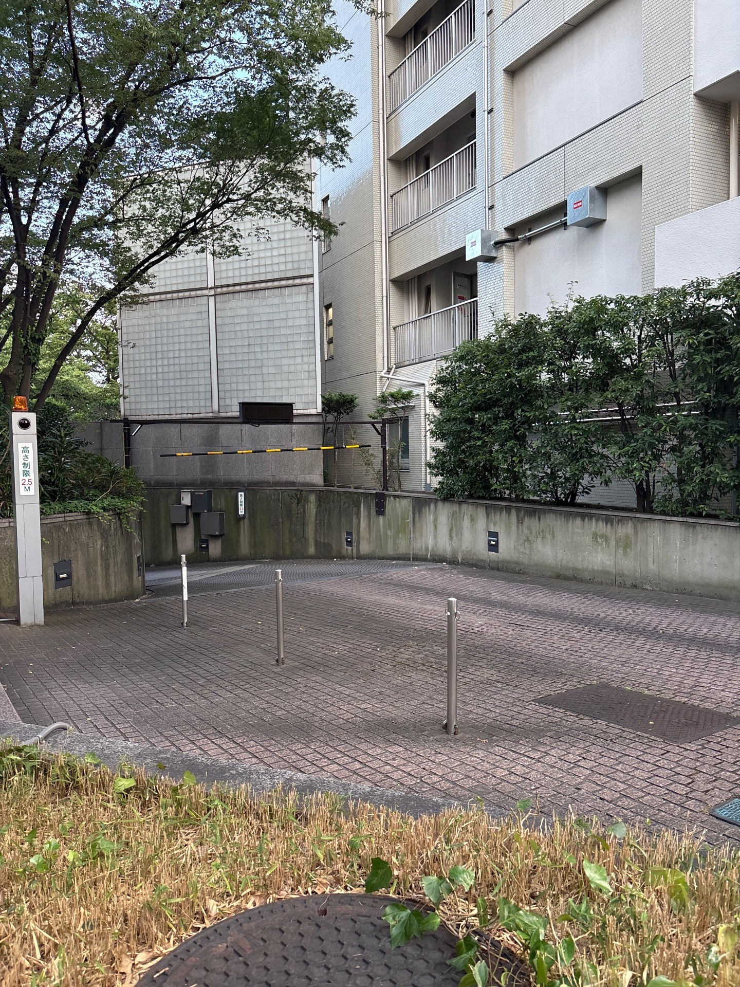タイムズあいおいニッセイ同和損保新宿ビル の写真 2