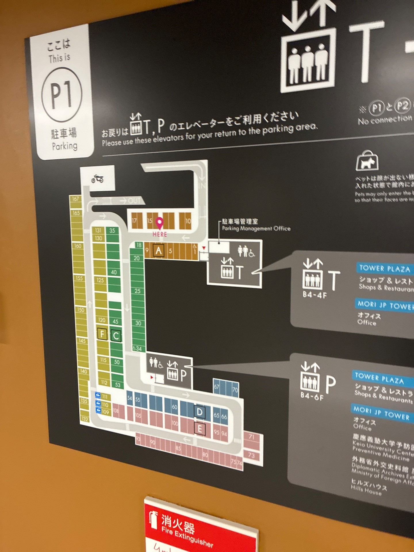 森JPタワー P1 の写真 4