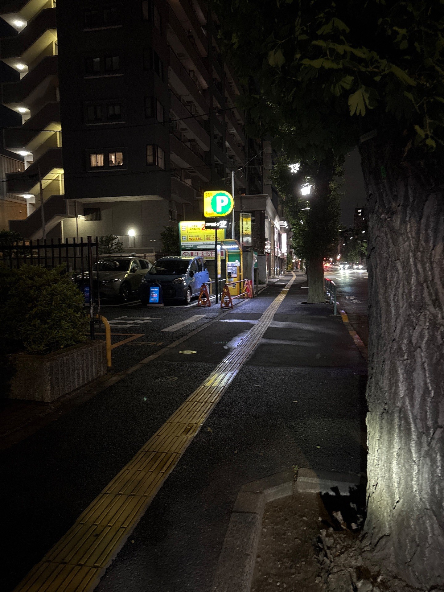 リパーク向丘1丁目第3 の写真 1