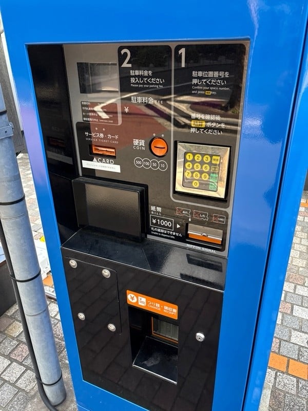 キプト芝 の写真 3