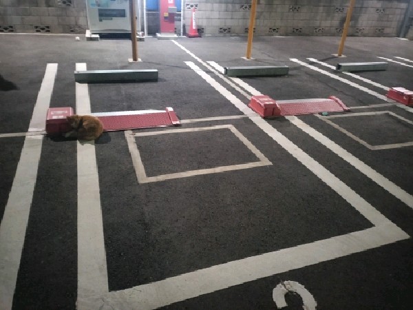 SANパーク 南池袋14 の写真 2