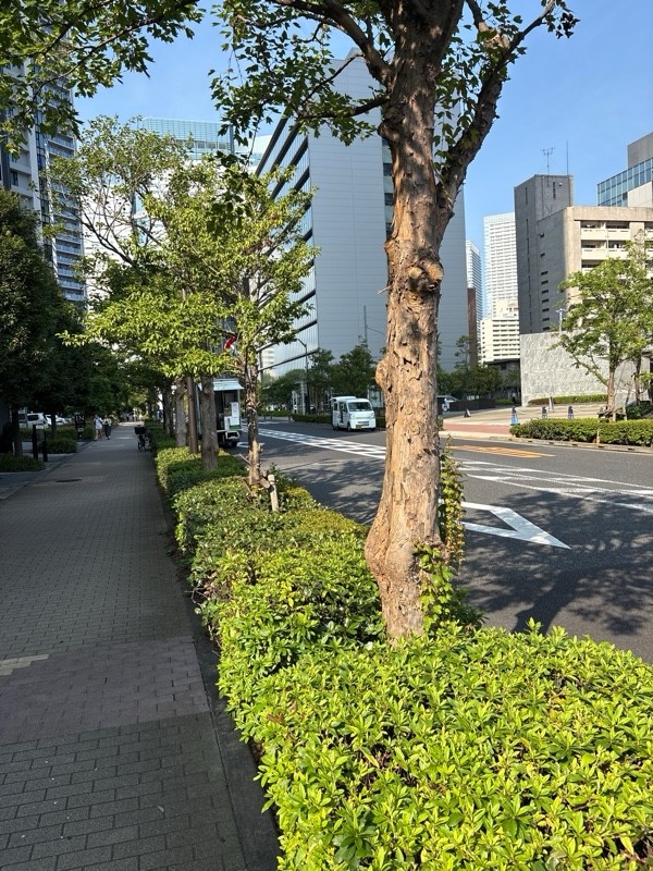 タイムズマルエツ晴海三丁目店 の写真 1