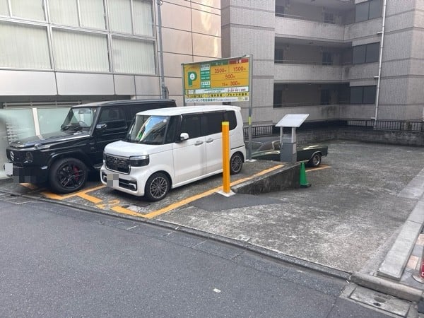 ショウワパーク大橋 の写真 2