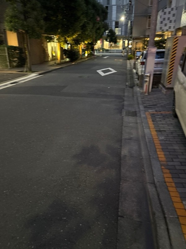 エコロパーク 新宿戸塚町第1駐車場 の写真 1