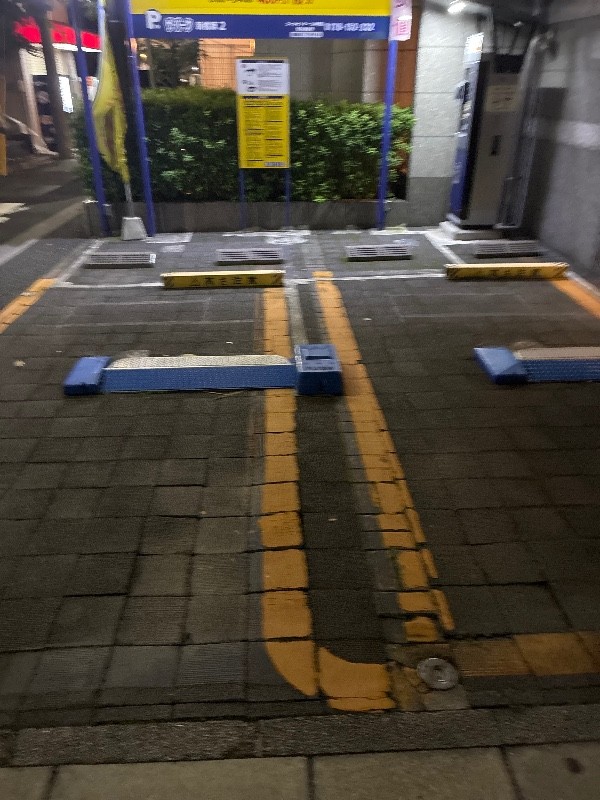 ザ・パーク 新橋第2 の写真 2