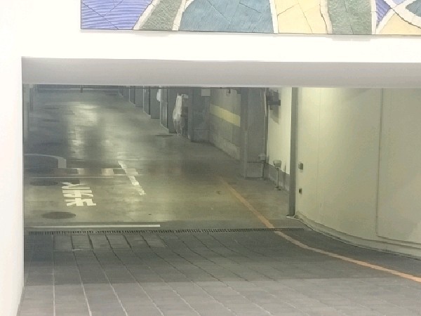 タイムズ九段南4丁目 の写真 2