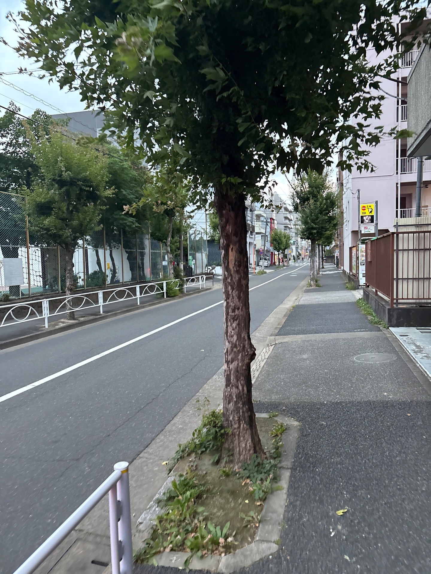 PEN墨田区亀沢2丁目パーキング の写真 1