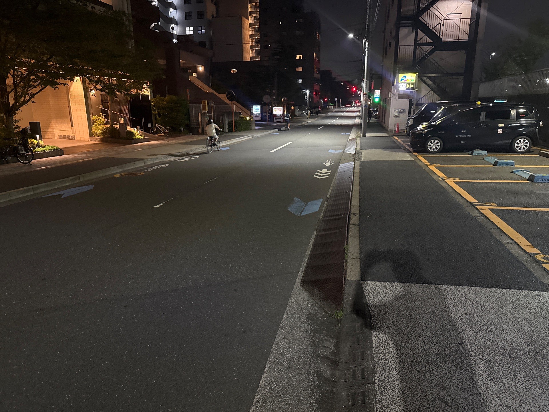 パラカ江東平野第1 の写真 1